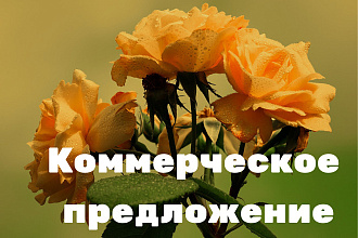 Коммерческое предложение
