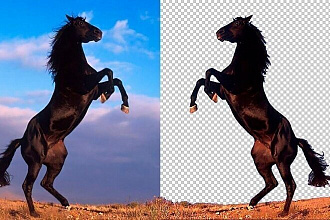 Удаляю задний вон фотографии