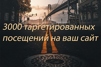 3000 геотаргетированных посещений на ваш сайт