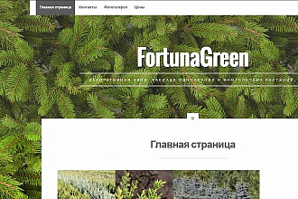 Создам сайт-визитка на wordpress