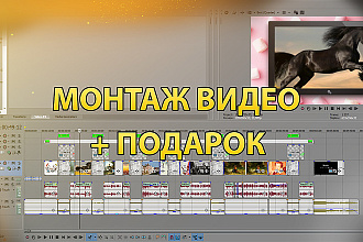 Монтаж видео любой сложности + обработка звука