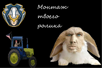 Монтаж твоего ролика