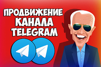 Продвижение канала telegram. Подписчики и просмотры на посты