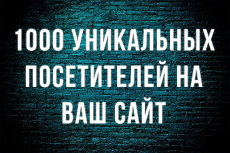 1000 уникальных посещений на Вашем сайте