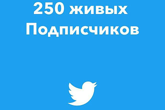 250 Подписчиков в ваш аккаунт Twitter