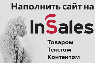 Наполнение сайта InSales