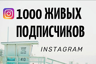 1000 Живых подписчиков с плюсом на профиль в Instagram