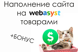 Наполнение сайта на Webasyst Shop-Script товарами
