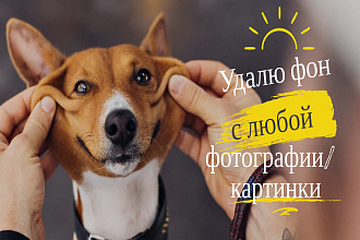 Удалю фон с любой фотографии или картинки