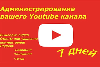 Администрирование вашего канала Youtube 7 дней