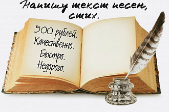 Напишу текст для песни любого жанра