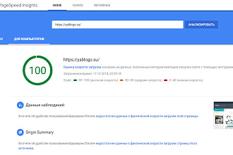 100 баллов по PageSpeed Insights путём установки скрипта кеширования