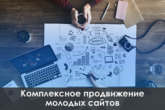 Комплексное продвижение молодых сайтов