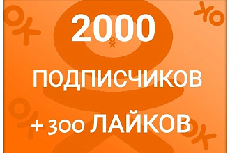 2000- подписчиков в группу в социальной сети одноклассники