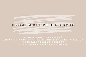 Продвижение компаний и бизнесов