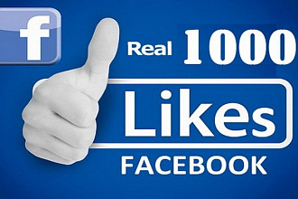 1000 лайков facebook на вашу запись +бонус 100 лайков до 30.09