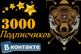 Привлечения 3000 подписчиков в группу или на страницу Вконтакте