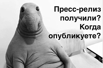 Напишу пресс-релиз