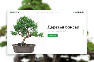 Веб-дизайн многостраничных сайтов и лендингов