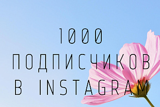 1000 русскоязычных инстаграм подписчиков