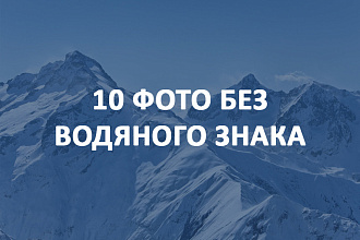 10 фото без водяного знака