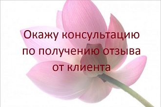 Окажу консультацию по получению отзыва от клиента