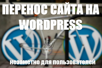 Перенесу сайт на wordpress на новый хостинг под ключ