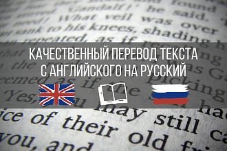 Качественный перевод текста