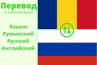 Качественный перевод от носителя языка