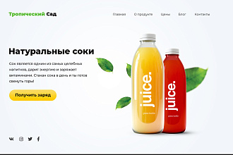 Создам Ваш сайт по готовому макету