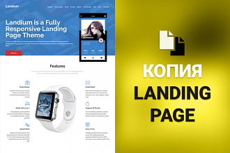 Сделаю копию landing page без cms