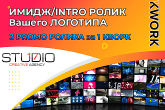 3 Качественных ИМИДЖ-INTRO ролика с Вашим логотипом