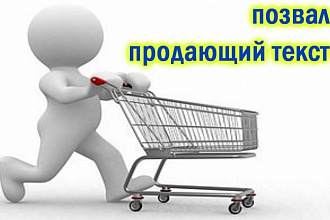 Создам описание товара, продающий текст, SEO-текст. Поправлю ваш