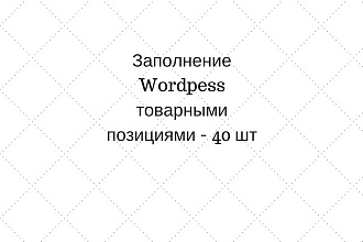 Заполнение Wordpess товарными позициями - 40 шт