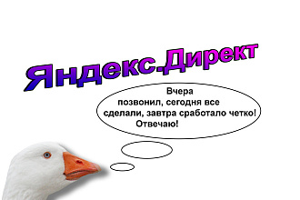 Заявки от 87 руб. из Яндекс. Директ РСЯ и ПОИСК