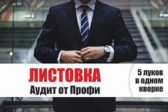 Листовка - Аудит от Профи - анализ, оценка, дизайн листовки