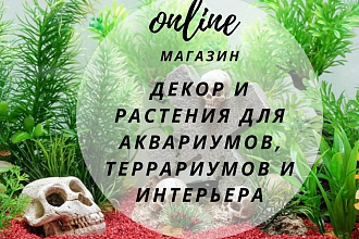 Запуск рекламы через Facebook и Instagram