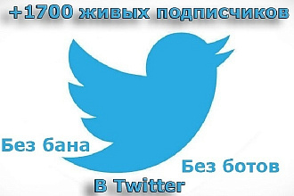 600 подписчиков в ваш аккаунт Twitter