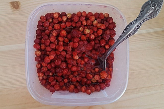 Напишу текст про продукт питания