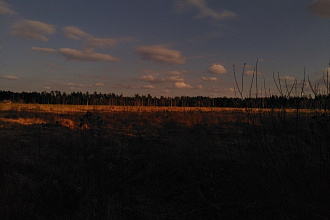 Переведу любой текст