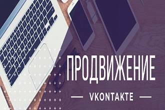 500 подписчиков Вконтакте на страницу или на вашу группу + Бонус