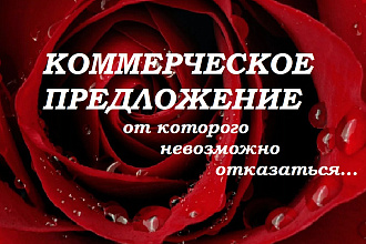 Напишу отличный текст коммерческого предложения