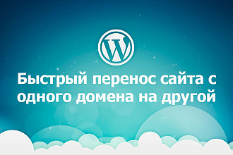 Грамотный перенос сайта WordPress на новый домен