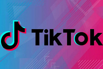 Подписчики в Тик-ток