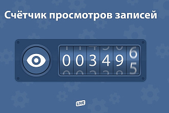 Просмотры на вашу запись Вконтакте