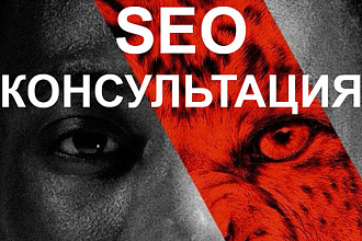 SEO Консультация по продвижению сайта в поисковых системах