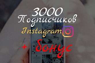Подписчики в instagram - 3000