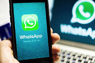 Обучение созданию чат-ботов WhatsApp