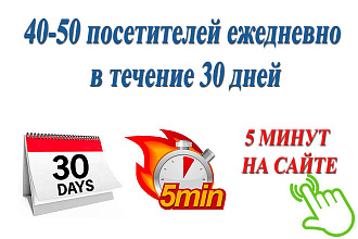 Качественный трафик - 40-50 посещений ежедневно в течение 30 дней