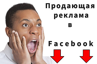 Профессиональная настройка рекламной компании в Facebook